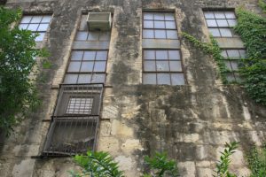 historical-building-with-vines