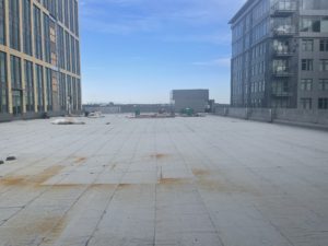 PUMA before laser scanning